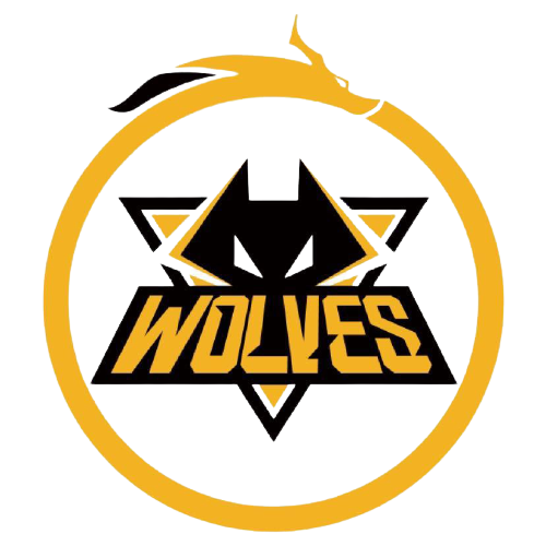 激动人心的 激动人心的