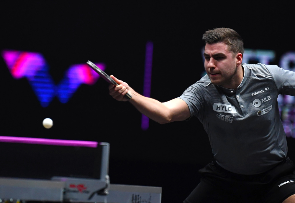 过度庆祝动 过度庆祝动